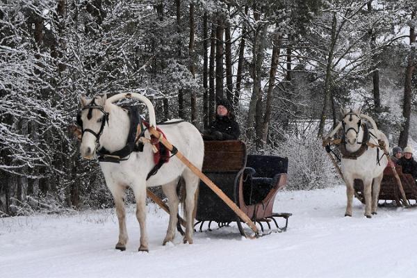 Voore stable sleigh rides in Rapla County or a place of your choice