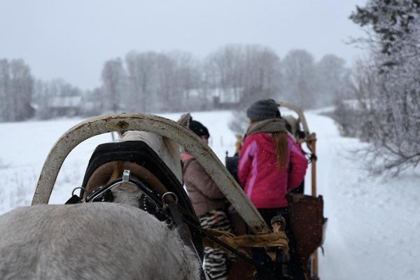 Voore stable sleigh rides in Rapla County or a place of your choice
