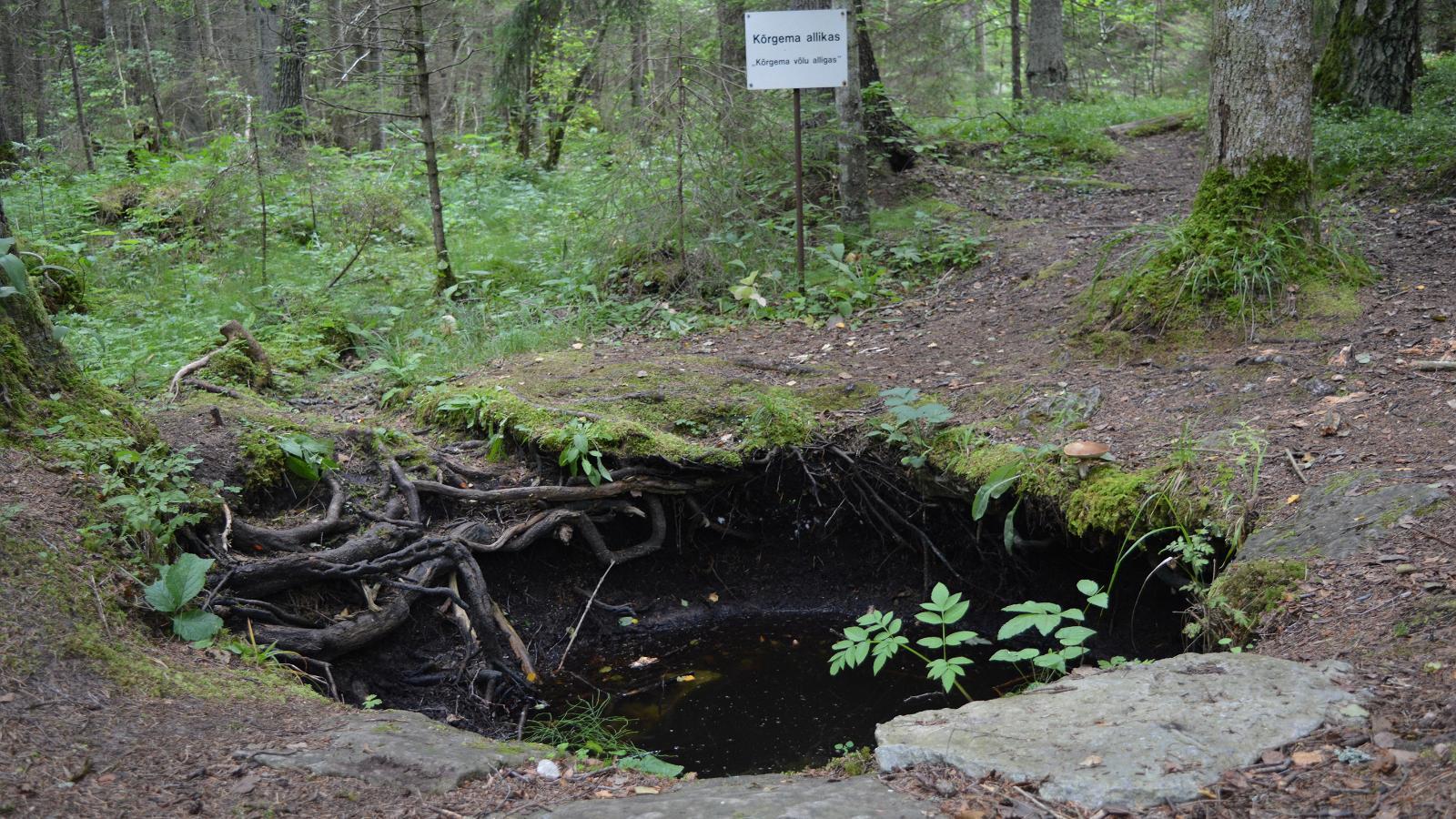 Cycle route to Sõrve Peninsula in Saaremaa (Kuressaare-Sääre-Kuressaare)