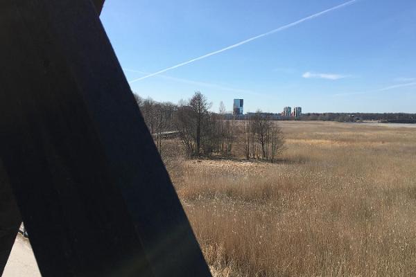 Mustjõe bird observation tower