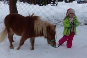 Eesti Põllumajandusmuuseumi poni ja väike tüdruk koos lumes aega veetmas