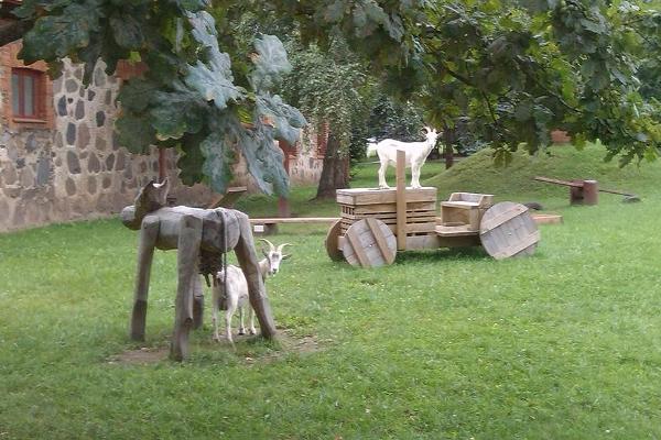 Viron maatalousmuseon lasten leikkikenttä, jonka ovat vallanneet vuohet