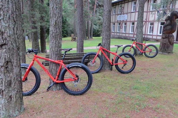 Rental of fatbikes and bicycles at Verevi Motel