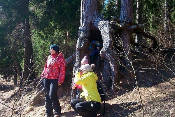 Vapramäe Naturhus och Elva naturskyddsområde