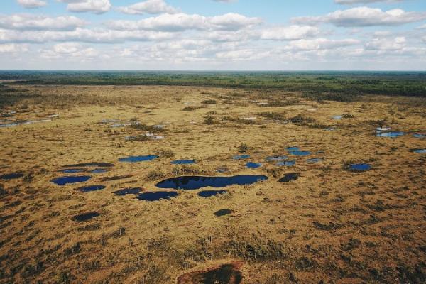 RMK Loosalu-Paluküla loodusrada ja telkimisala