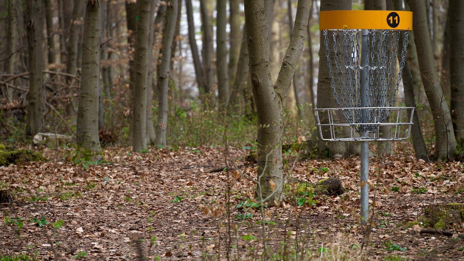 Leisi discgolfi park