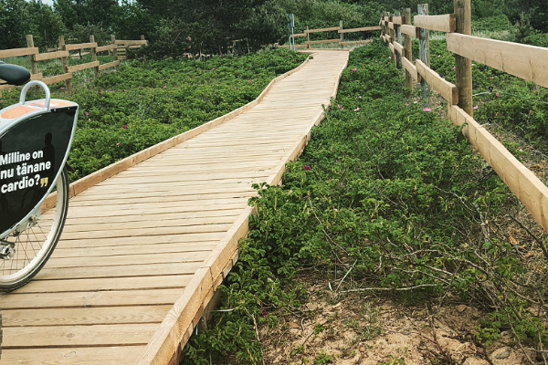 Paljassaare boardwalks