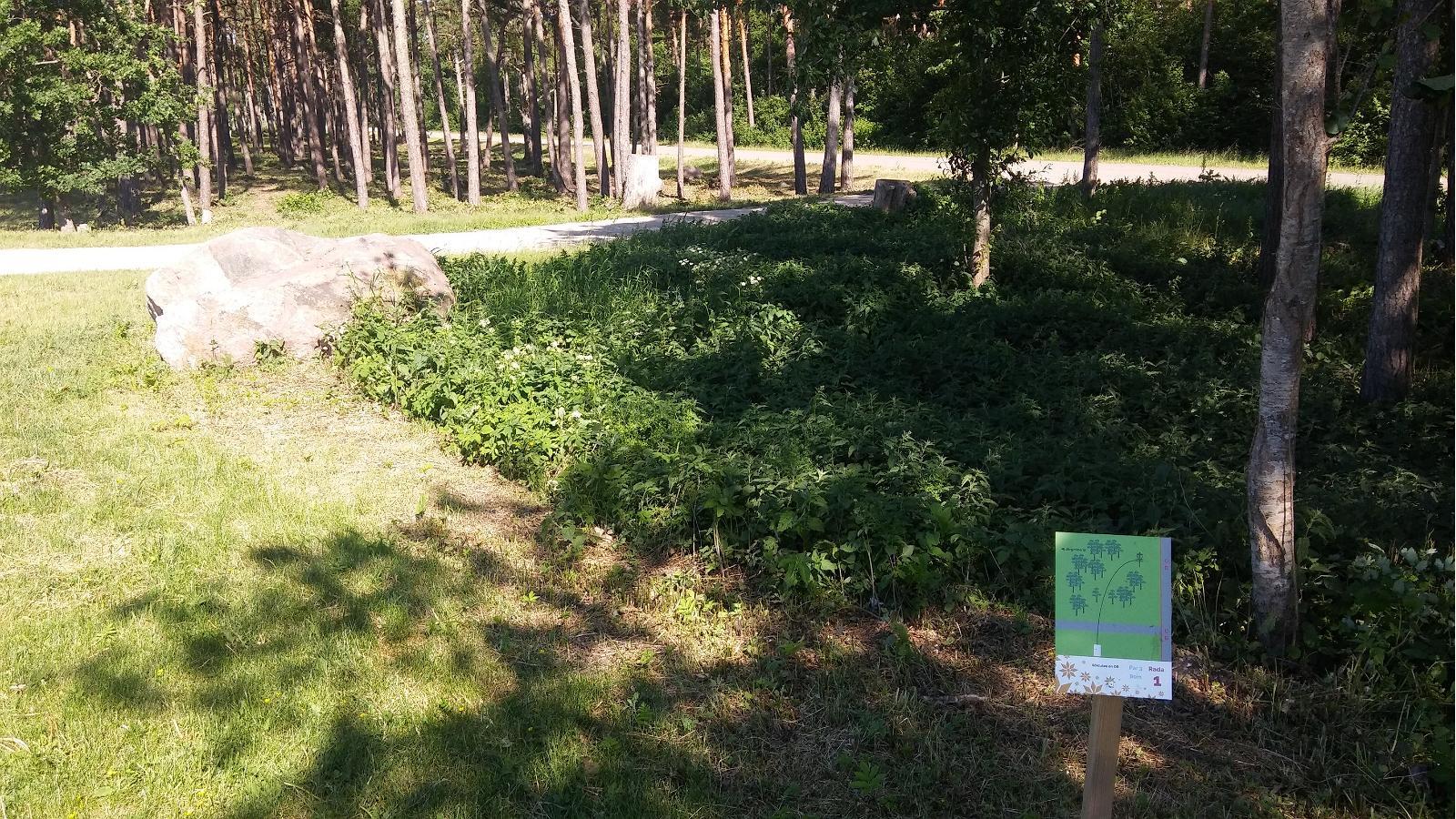 Kudjape discgolfi park