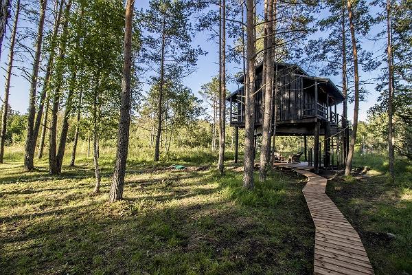 Erlebnisunterbringung im Baumhaus Samblik