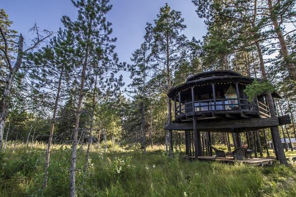 Accommodation in Sambliku Treehouse