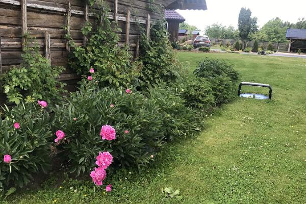 Jagd- und Wanderhaus Kiisa - ein schönes Ferienhaus an einem stillen Landort