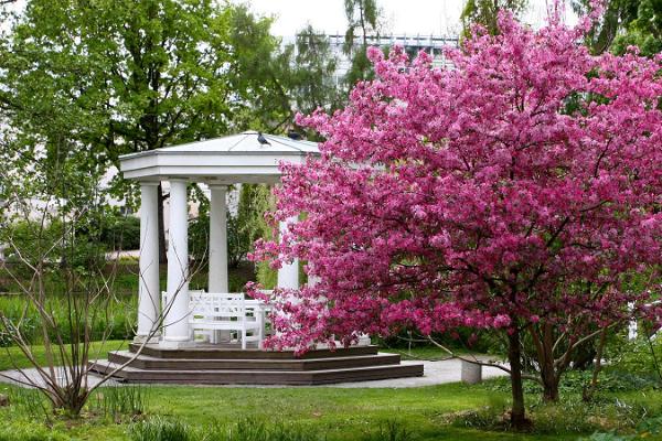 Botanischer Garten der Universität Tartu