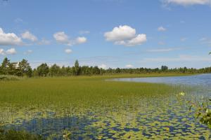 Looduse tuur "Avasta Saaremaa omal käel"