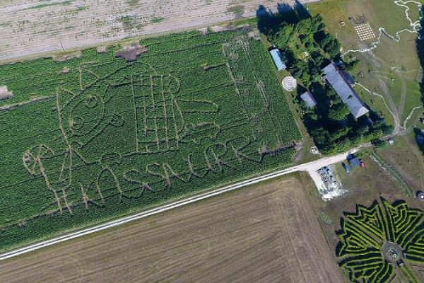 Maislabyrinth auf dem Toretalu