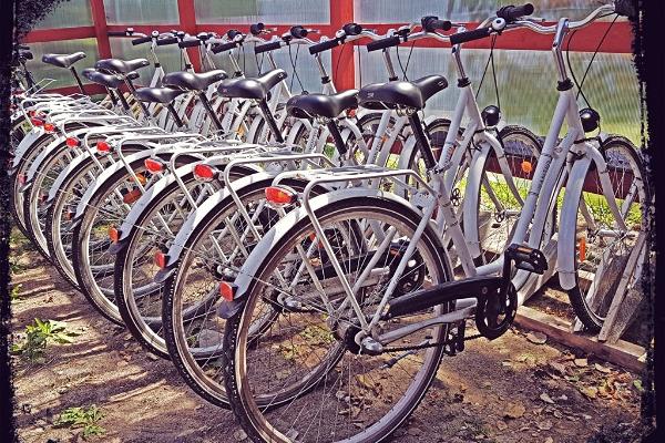 Fahrradverleih auf Vormsi, im Hafen Sviby