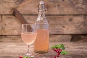 Tasting Alatskivi craft wines
