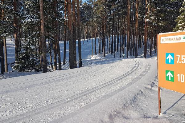Лыжные трассы и аренда лыж в Центре здоровья и спорта Йыулумяэ
