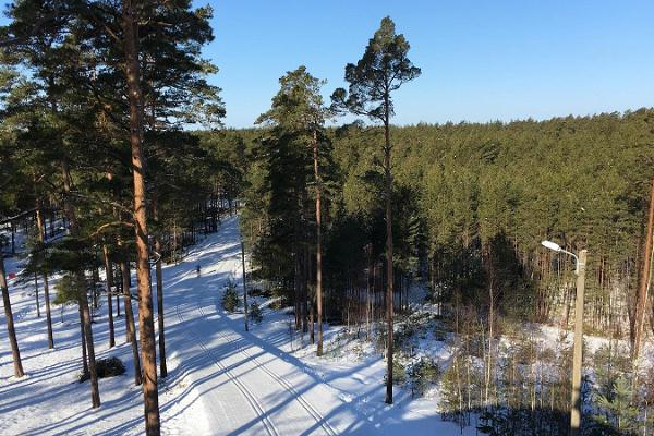 Veselības sporta centra "Jõulumäe" slēpošanas trases un slēpju noma
