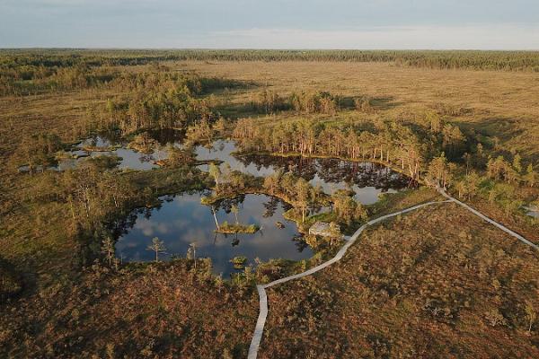 Эколого-познавательная тропа Раннаметса–Толкузе Центра управления государственными лесами 