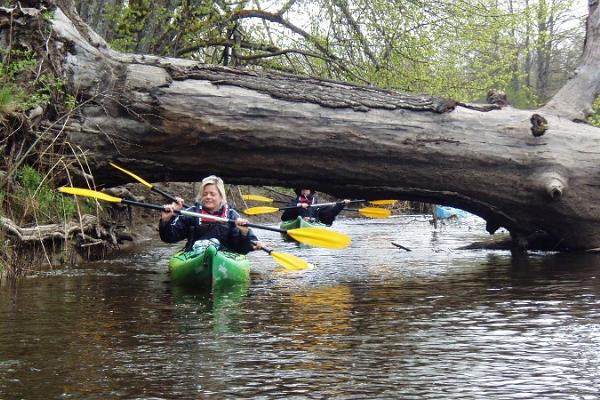 Seikle Vabaks (Freedom of Adventure) – kayak hike in Soomaa National Park