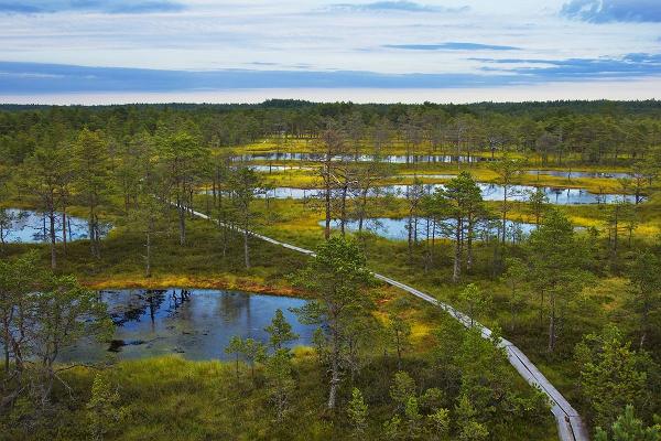 Resa i norra Estlands natur