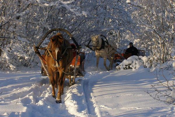 Tihuse horse-riding & farmstead stay