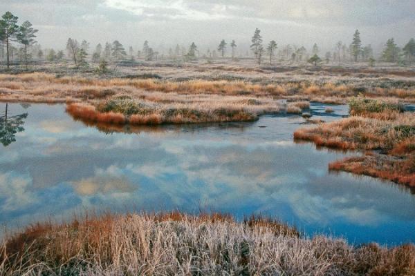 Приключенческий поход на болотоступах по болоту Толкузе от "Seikle Vabaks"