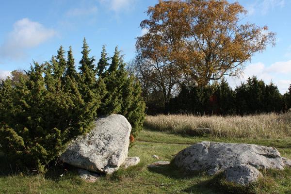 Abruka Nature Trails