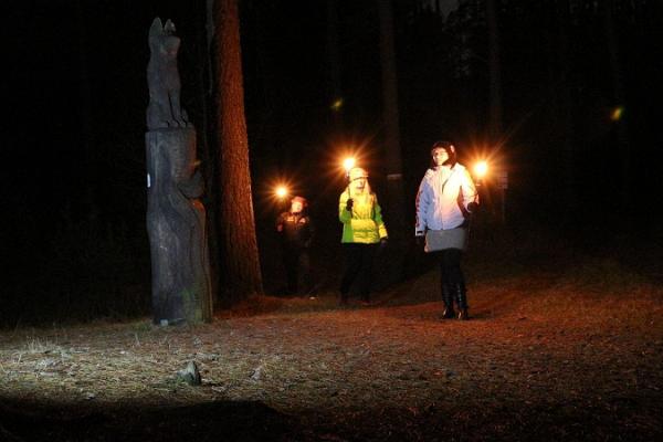 Fackelausflug auf dem Kleinen Kraftweg (Väike Väerada)