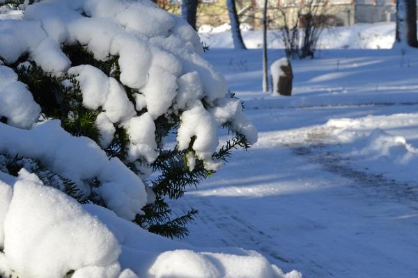 Kuressāres pilsētas parks