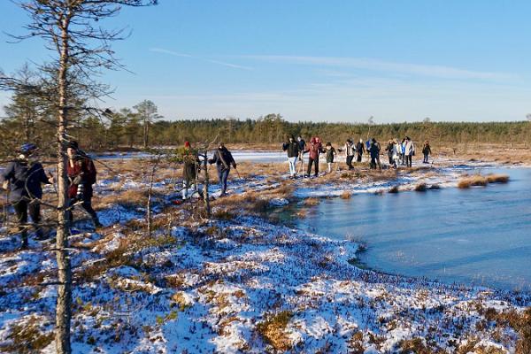 Guidad snöskovandring på Koitjärve högmosse