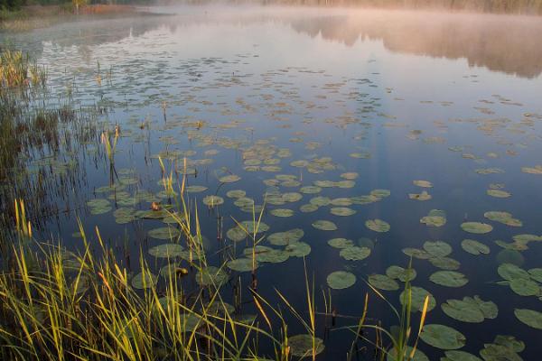 Mooste järv