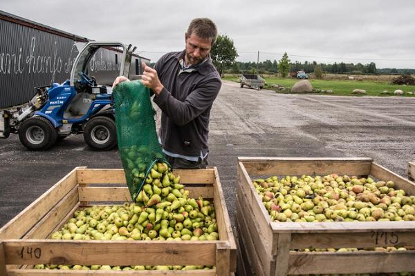 Sidra rūpnīcas "Jaanihanso" apmeklējums