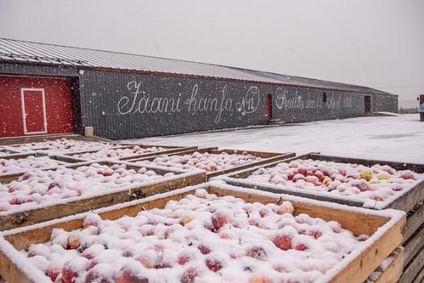 Besök till Jaanihanso Ciderfabrik