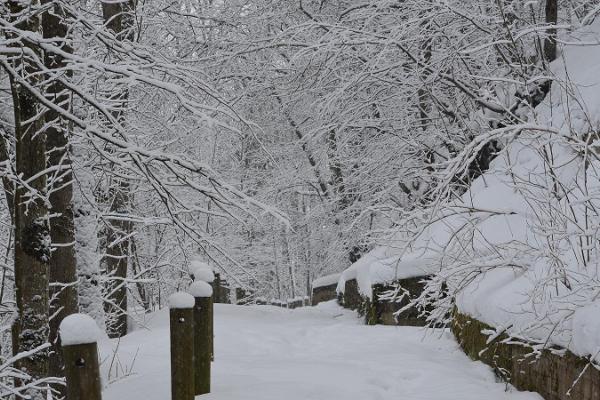 Vaivara historical trail