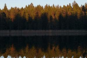 Äntu järvede puhkeala