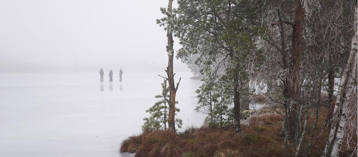 Eislaufen mitten in der estnischen Natur