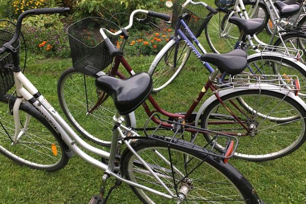 Sadama Öömajas cykeluthyrning på Kynö