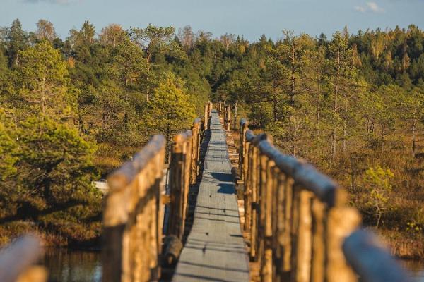 Naturschutzgebiet Endla und Zentrum in Tooma