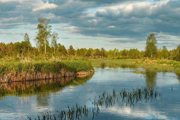 Fliegenfischen an den besten Forellenflüssen Estlands