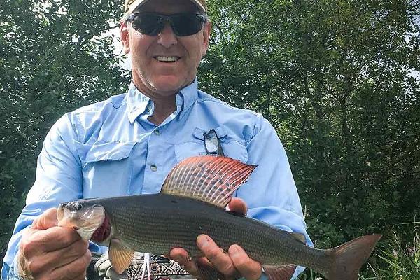 Fly fishing on the best trout rivers in Estonia