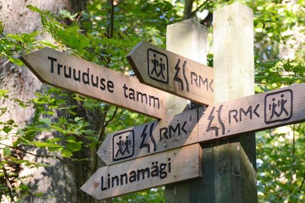 Jännittävä koulupäivän kierros - Alatskivin vaellusreitti