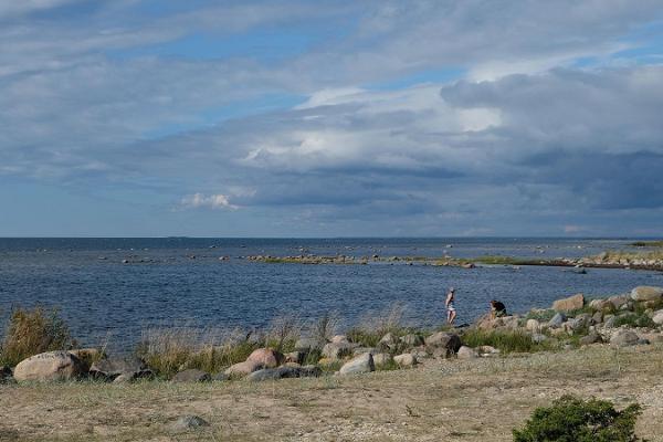 Suarõ ninä – Strand und alte Anlegestelle 