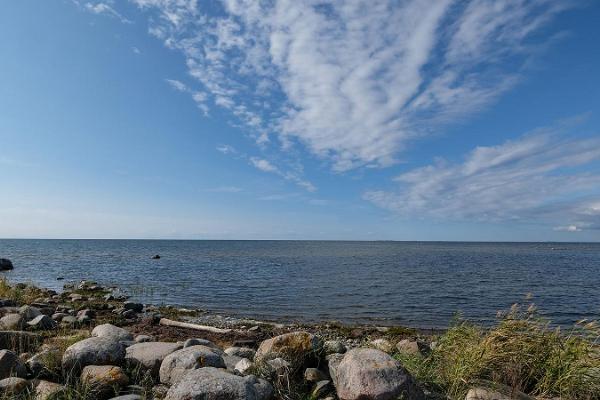 Suarõ ninä – Strand und alte Anlegestelle 