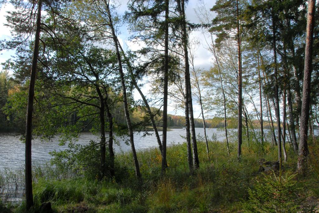 Lake Tündre campfire site and nature reserve - pilt