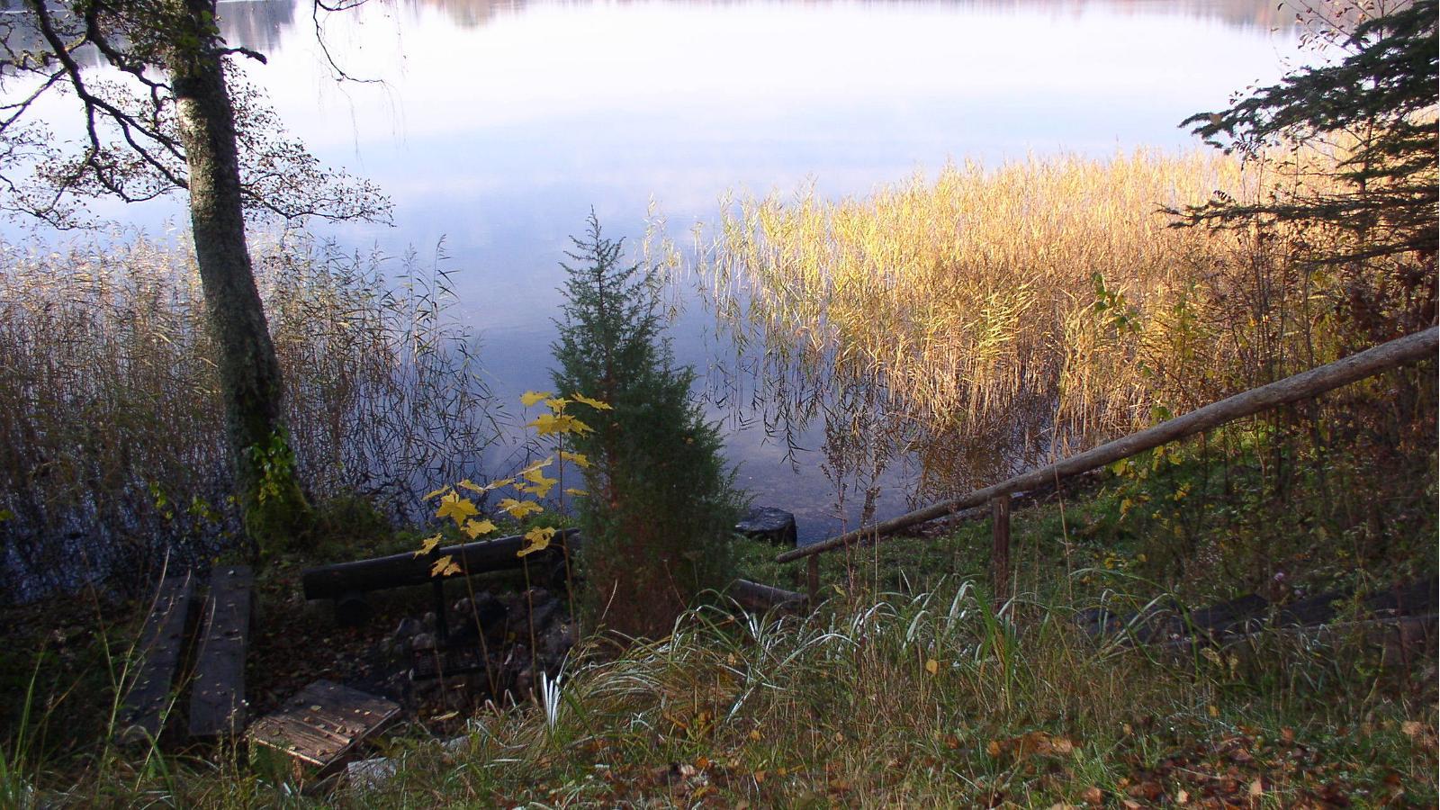 Koorküla Valgjärv ja lõkkekohad - pilt