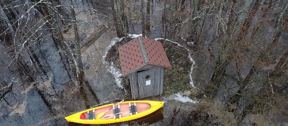 Затопленный парк в Эстонии