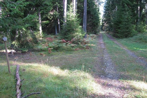 Huitbergs vandringsled och kalkstensklippa