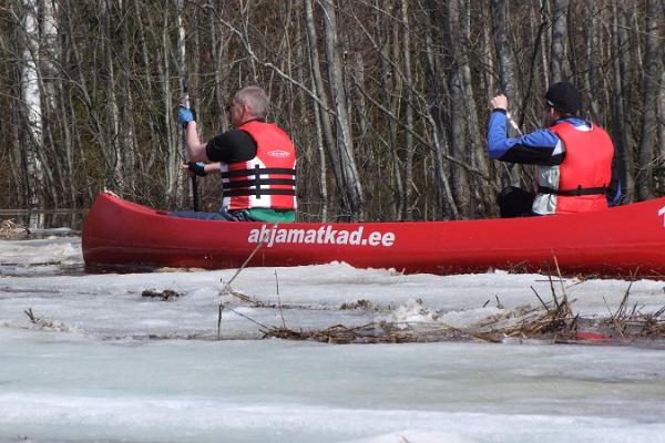 Kanotpaddling på Soomaa nationalparks översvämmade områden.