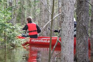 Kanotpaddling på Soomaa nationalparks översvämmade områden.